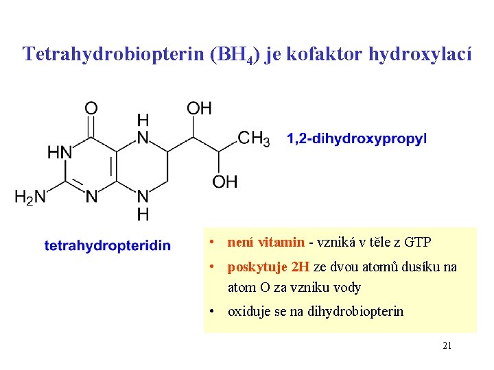 Tetrahydrobiopterin (BH 4) je kofaktor hydroxylací • není vitamin - vzniká v těle z