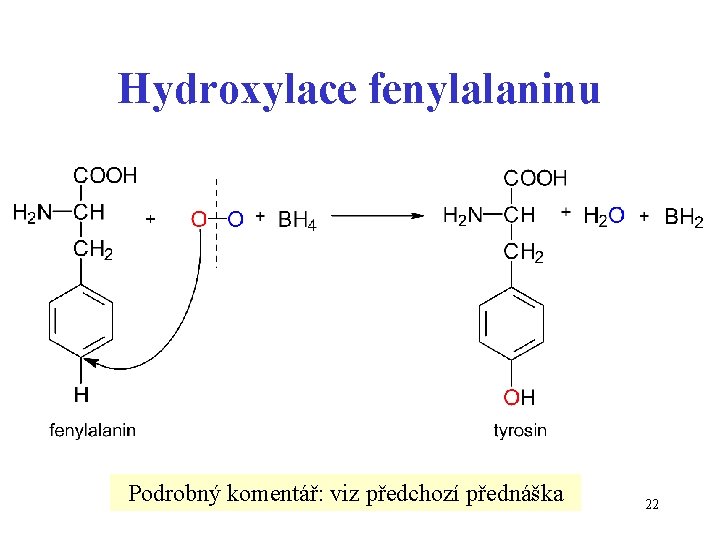 Hydroxylace fenylalaninu Podrobný komentář: viz předchozí přednáška 22 