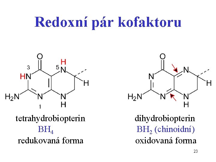 Redoxní pár kofaktoru 1 tetrahydrobiopterin BH 4 redukovaná forma dihydrobiopterin BH 2 (chinoidní) oxidovaná
