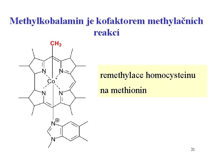 Methylkobalamin je kofaktorem methylačních reakcí remethylace homocysteinu na methionin 31 