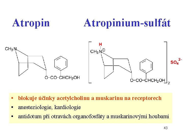 Atropinium-sulfát • blokuje účinky acetylcholinu a muskarinu na receptorech • anesteziologie, kardiologie • antidotum