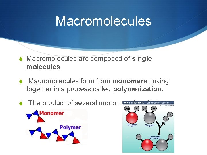 Macromolecules S Macromolecules are composed of single molecules. S Macromolecules form from monomers linking