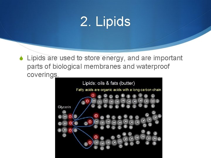 2. Lipids S Lipids are used to store energy, and are important parts of