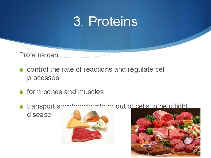 3. Proteins can… S control the rate of reactions and regulate cell processes. S