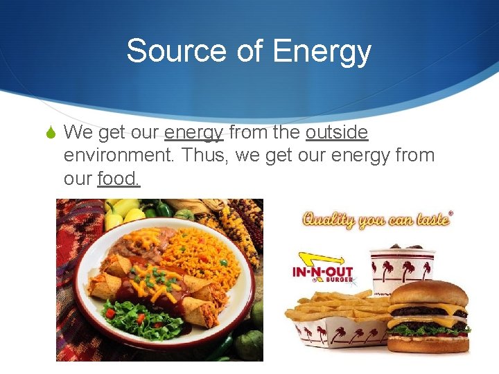 Source of Energy S We get our energy from the outside environment. Thus, we