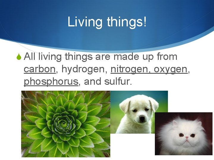 Living things! S All living things are made up from carbon, hydrogen, nitrogen, oxygen,