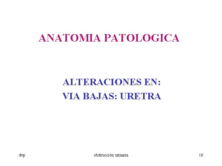 ANATOMIA PATOLOGICA ALTERACIONES EN: VIA BAJAS: URETRA dvp obstrucción urinaria 16 