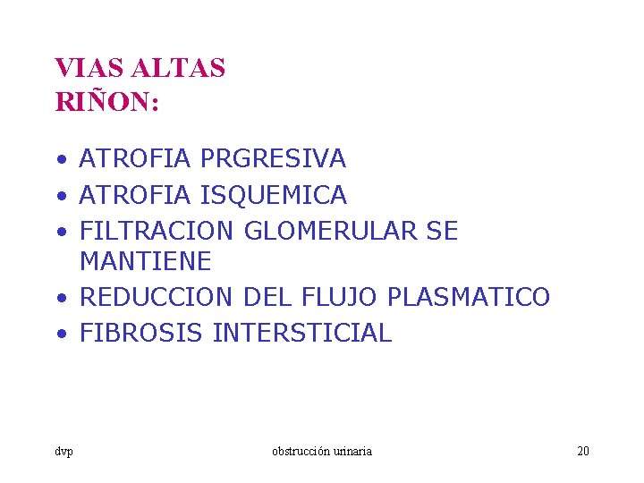 VIAS ALTAS RIÑON: • ATROFIA PRGRESIVA • ATROFIA ISQUEMICA • FILTRACION GLOMERULAR SE MANTIENE