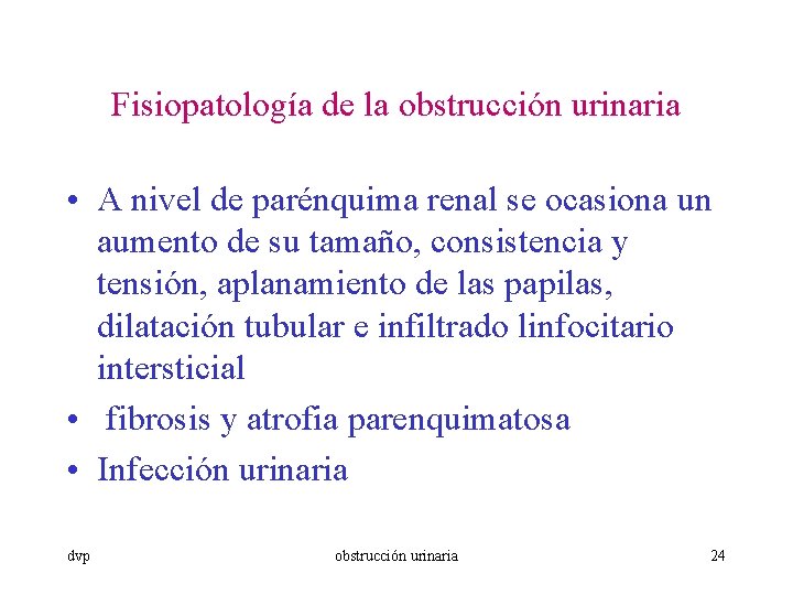 Fisiopatología de la obstrucción urinaria • A nivel de parénquima renal se ocasiona un