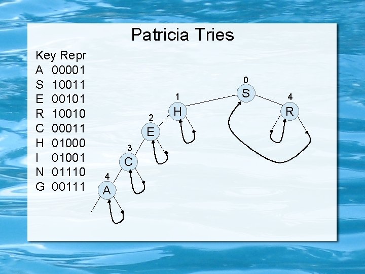 Patricia Tries Key Repr A 00001 S 10011 E 00101 R 10010 C 00011