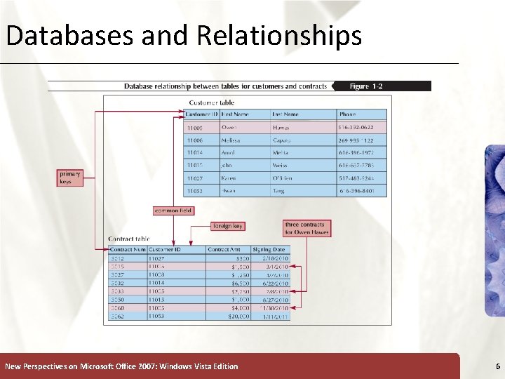 Databases and Relationships New Perspectives on Microsoft Office 2007: Windows Vista Edition 6 Databases and Relationships New Perspectives on Microsoft Office 2007: Windows Vista Edition 6