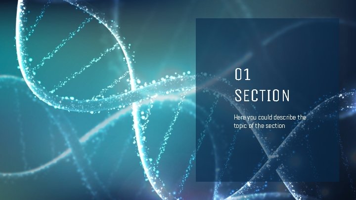 01 SECTION Here you could describe the topic of the section 