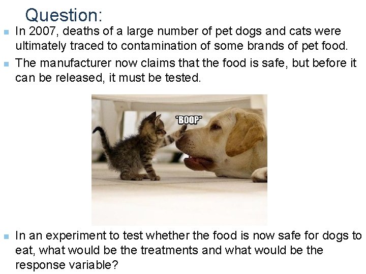 Question: n n n In 2007, deaths of a large number of pet dogs