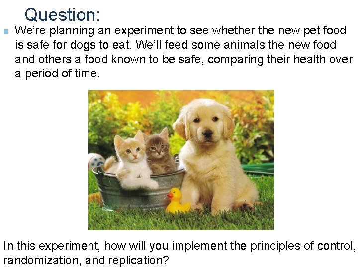 Question: n We’re planning an experiment to see whether the new pet food is