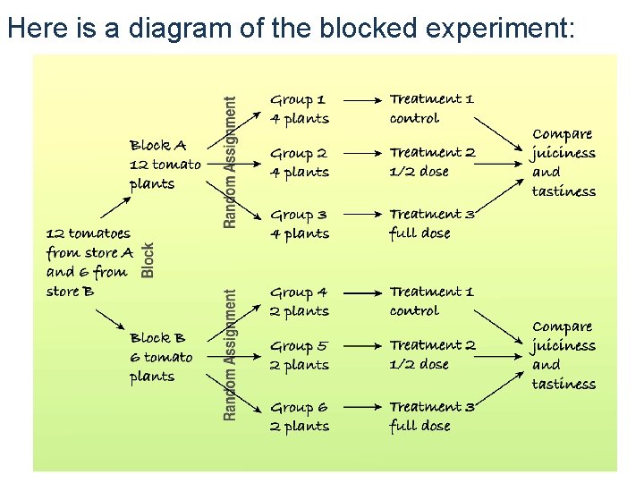 Here is a diagram of the blocked experiment: 