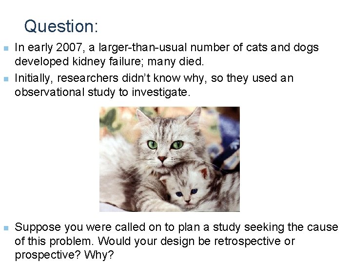 Question: n n n In early 2007, a larger-than-usual number of cats and dogs