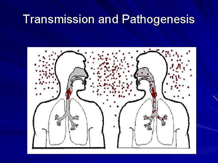 Transmission and Pathogenesis 