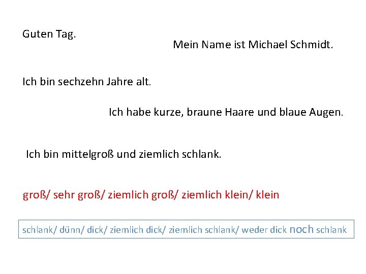 Guten Tag. Mein Name ist Michael Schmidt. Ich bin sechzehn Jahre alt. Ich habe