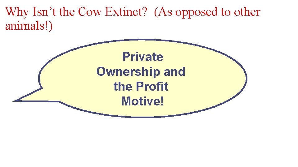 Why Isn’t the Cow Extinct? (As opposed to other animals!) Private Ownership and the