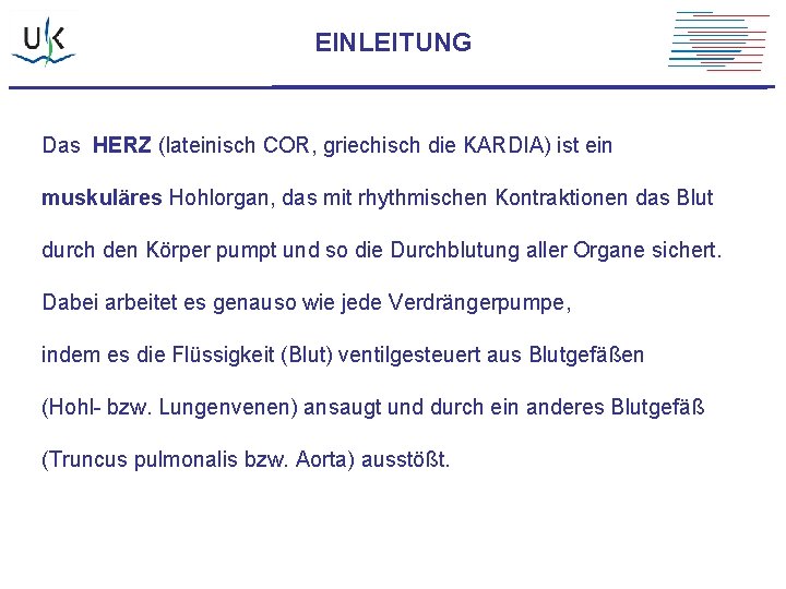 EINLEITUNG Das HERZ (lateinisch COR, griechisch die KARDIA) ist ein muskuläres Hohlorgan, das mit