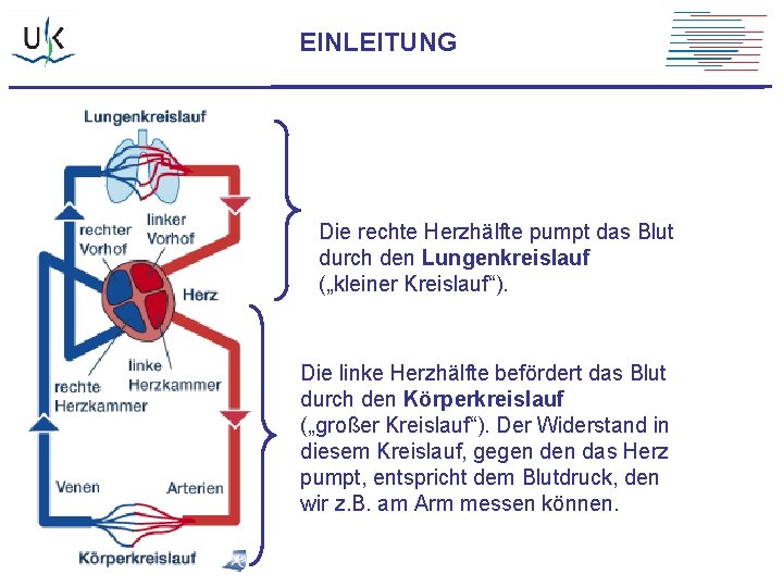 EINLEITUNG Die rechte Herzhälfte pumpt das Blut durch den Lungenkreislauf („kleiner Kreislauf“). Die linke