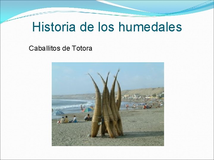 Historia de los humedales Caballitos de Totora 