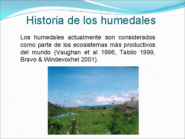 Historia de los humedales Los humedales actualmente son considerados como parte de los ecosistemas