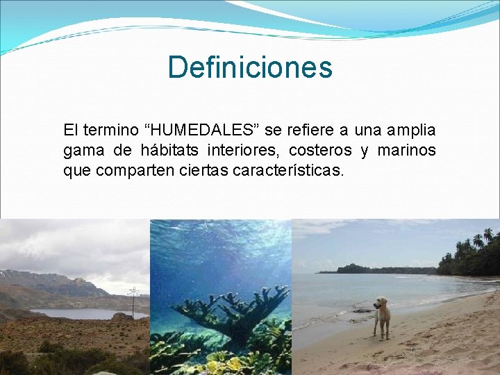 Definiciones El termino “HUMEDALES” se refiere a una amplia gama de hábitats interiores, costeros