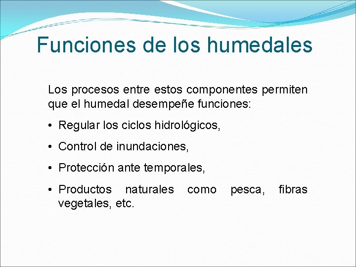 Funciones de los humedales Los procesos entre estos componentes permiten que el humedal desempeñe