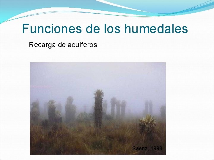 Funciones de los humedales Recarga de acuíferos Saenz, 1998 