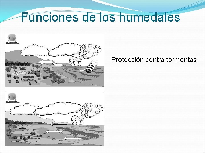 Funciones de los humedales Protección contra tormentas 