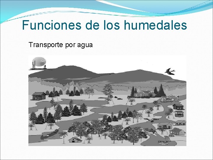 Funciones de los humedales Transporte por agua 