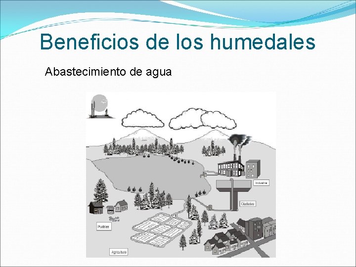 Beneficios de los humedales Abastecimiento de agua 