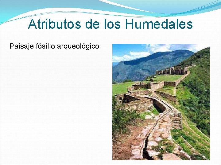 Atributos de los Humedales Paisaje fósil o arqueológico 