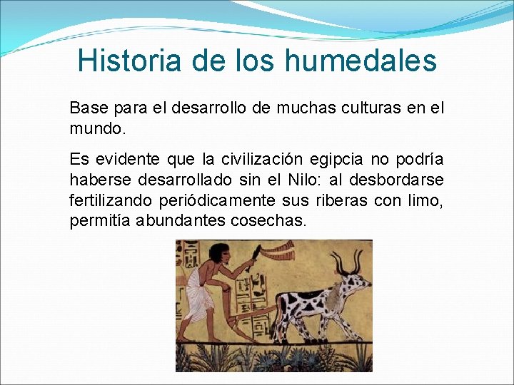 Historia de los humedales Base para el desarrollo de muchas culturas en el mundo.