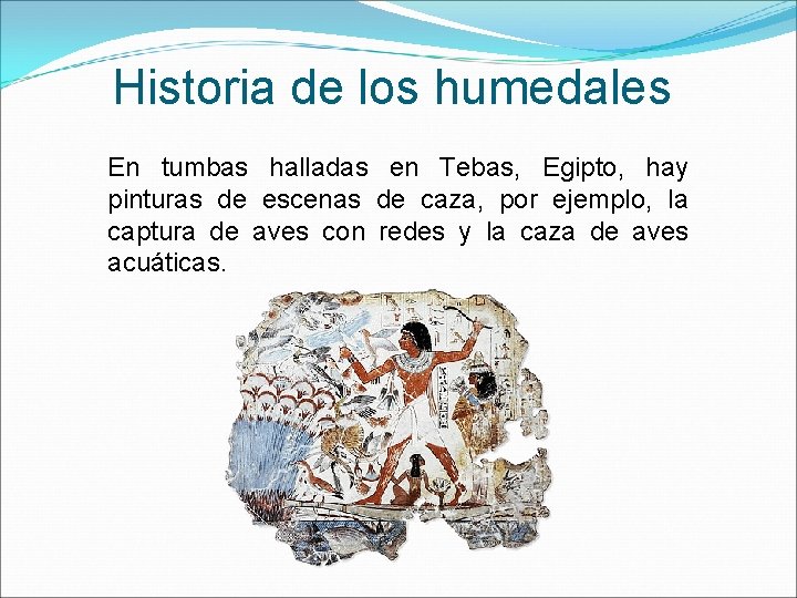 Historia de los humedales En tumbas halladas en Tebas, Egipto, hay pinturas de escenas