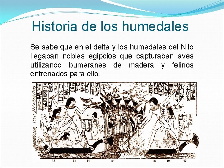 Historia de los humedales Se sabe que en el delta y los humedales del