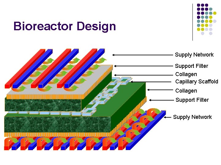 Bioreactor Design Supply Network Support Filter Collagen Capillary Scaffold Collagen Support Filter Supply Network