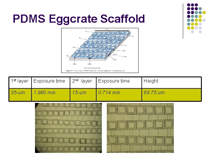 PDMS Eggcrate Scaffold 1 st layer Exposure time 2 nd layer Exposure time Height