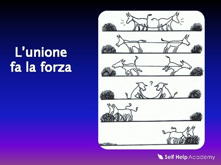 L’unione fa la forza 