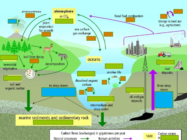 photosynthesis atmosphere ATMOSPHERE 0. 5 