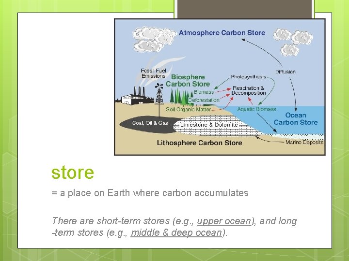 store = a place on Earth where carbon accumulates There are short-term stores (e.