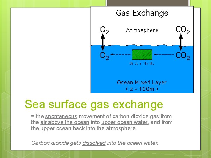 Sea surface gas exchange = the spontaneous movement of carbon dioxide gas from the