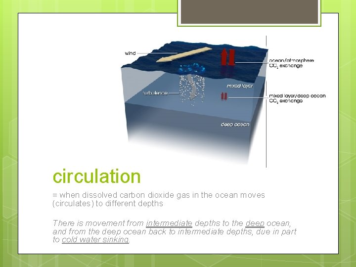 circulation = when dissolved carbon dioxide gas in the ocean moves (circulates) to different