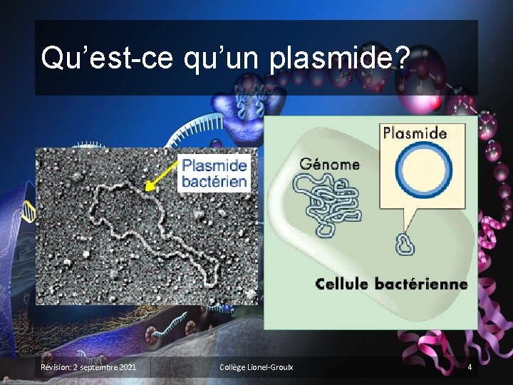 Qu’est-ce qu’un plasmide? Révision: 2 septembre 2021 Collège Lionel-Groulx 4 