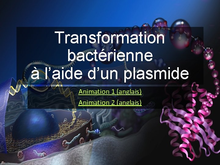 Transformation bactérienne à l’aide d’un plasmide Animation 1 (anglais) Animation 2 (anglais) 