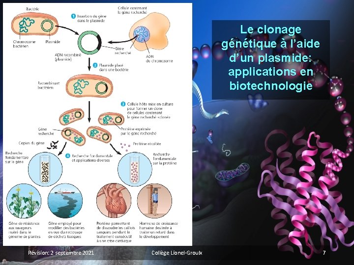 Le clonage génétique à l’aide d’un plasmide: applications en biotechnologie Révision: 2 septembre 2021