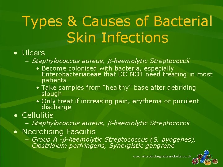 Types & Causes of Bacterial Skin Infections • Ulcers – Staphylococcus aureus, b-haemolytic Streptococcii