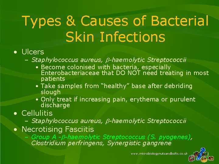 Types & Causes of Bacterial Skin Infections • Ulcers – Staphylococcus aureus, b-haemolytic Streptococcii