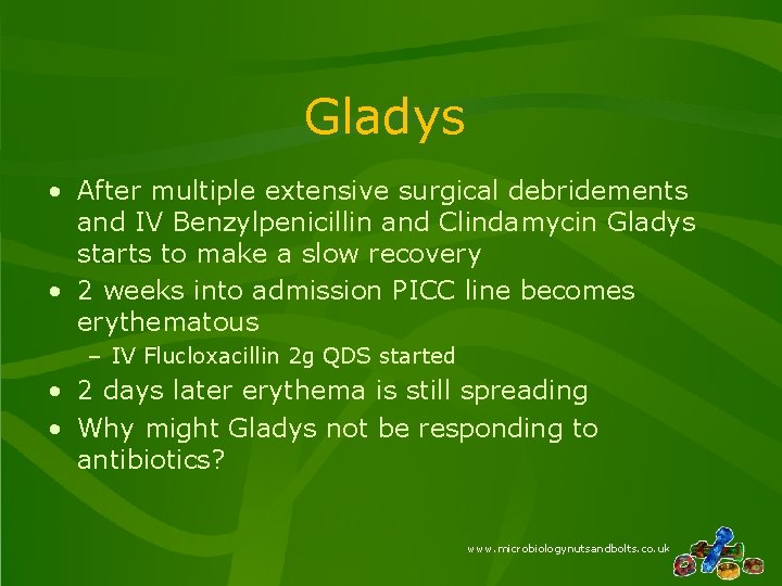 Gladys • After multiple extensive surgical debridements and IV Benzylpenicillin and Clindamycin Gladys starts